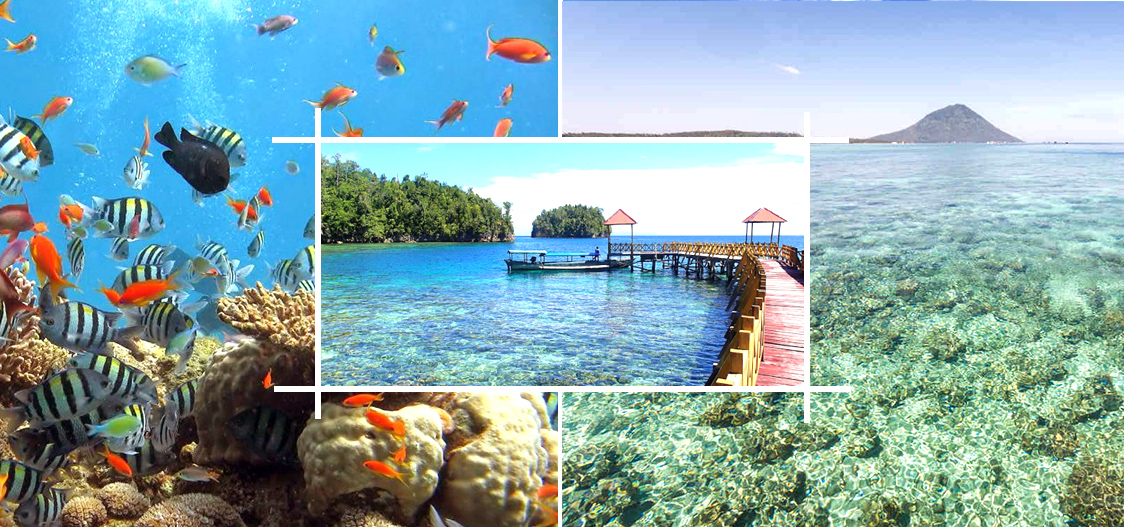 Taman Laut di Sulawesi Utara, Tiga Terbaik Kami Sajikan Untuk Anda!