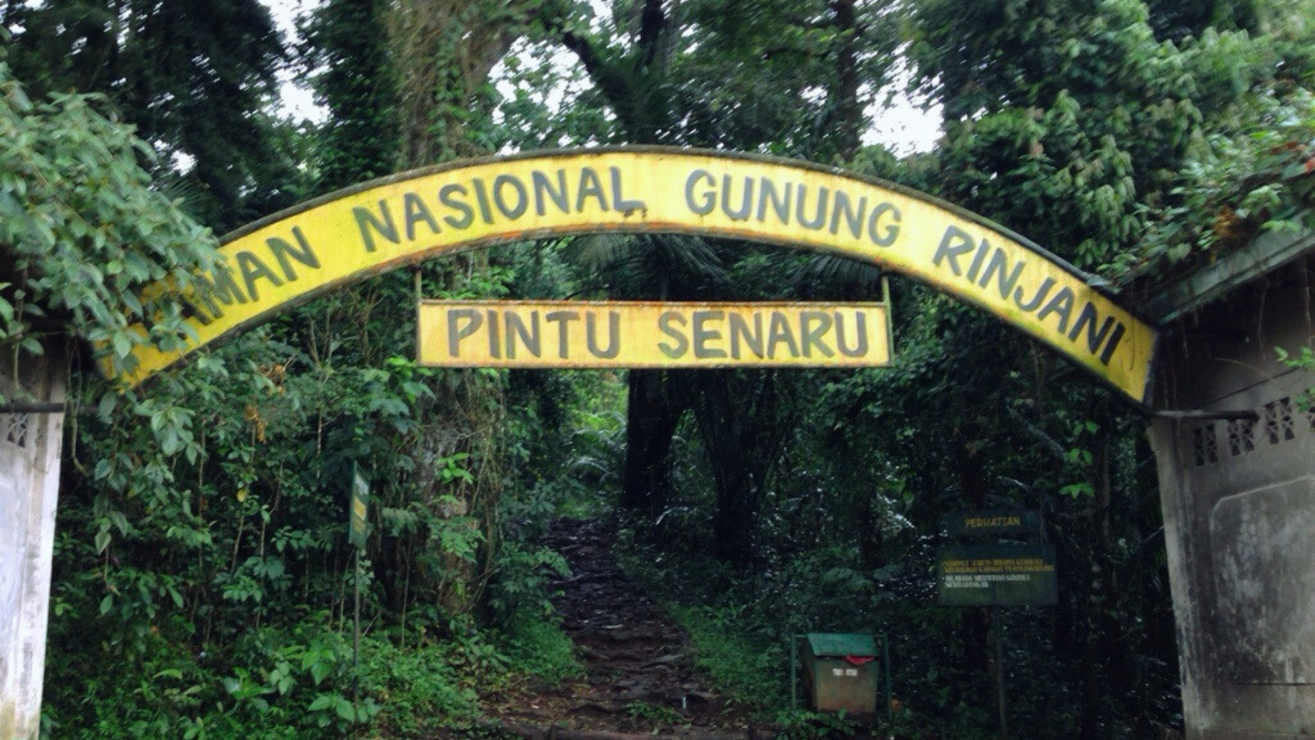 desa-senaru