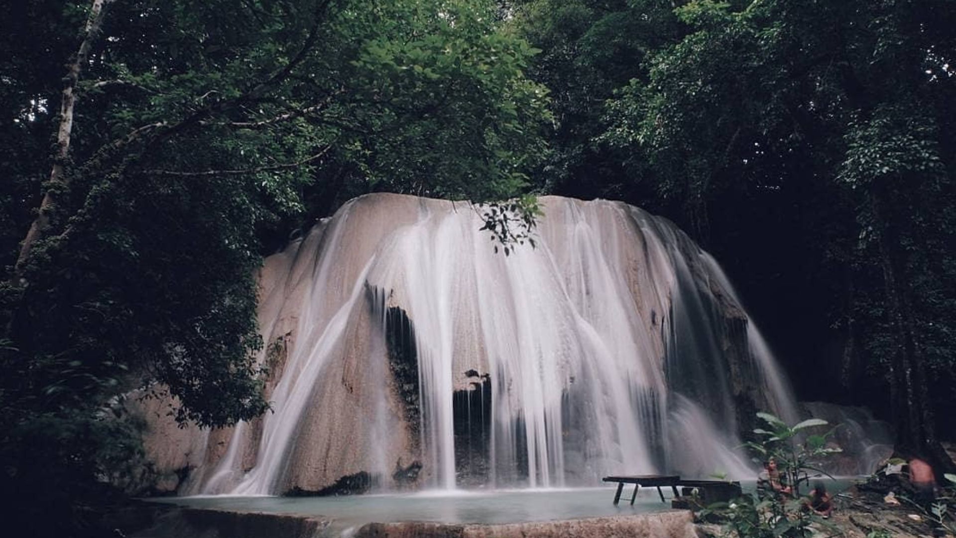 air-terjun-rimba